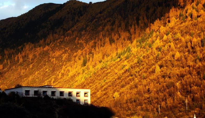 成都、四姑娘山、長坪溝3日自駕游