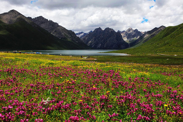 成都租車川西北環(huán)線7日游+-年保玉則+草原花海+九寨溝