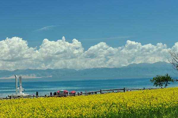 成都—爐霍——那曲—納木錯(cuò)—拉薩11日游路線(xiàn)