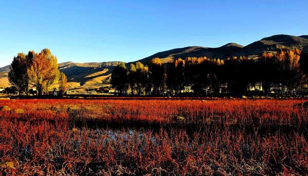 大香格里拉+滇藏線(xiàn)+川藏南線(xiàn)13日游